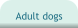 Adult dogs