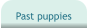 Past puppies