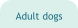 Adult dogs