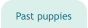 Past puppies